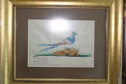 Altın Kuşlar Sergisi