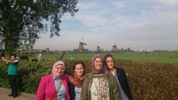 Hollanda 2014